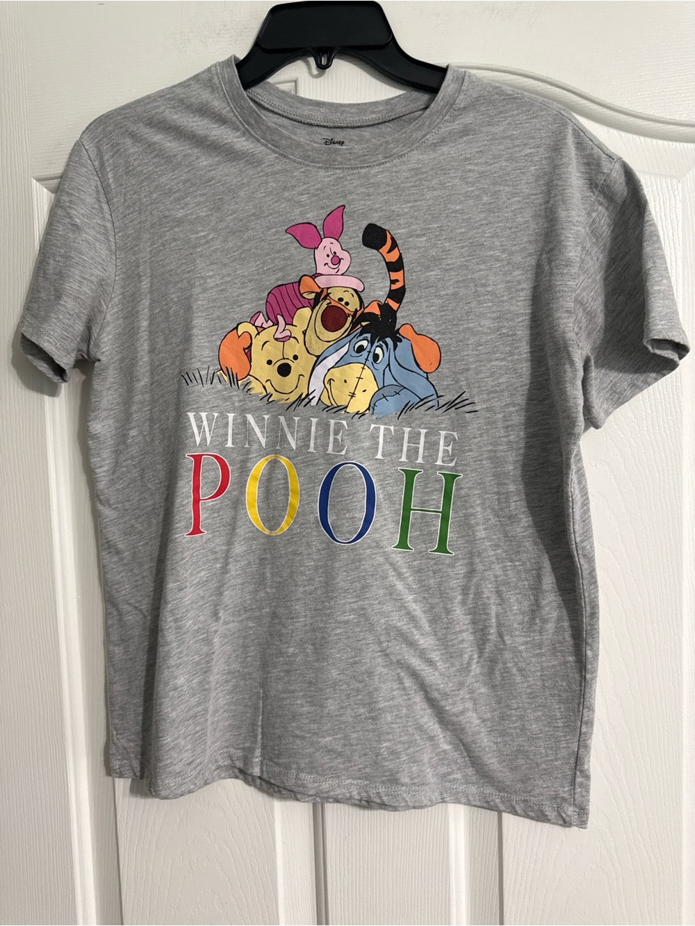 Disney Gray Winnie the Pooh Short Sleeve Tee with Rainbow Lettering